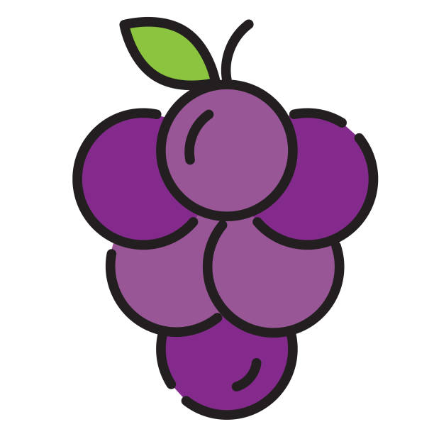 ilustraciones, imágenes clip art, dibujos animados e iconos de stock de uvas maduras de fruta fresca entera y en rodajas icono de línea delgada - trazo editable - strawberry vine