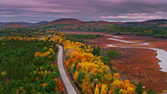 Aerial View of Vehicles Driving Through Forest in Western Maine in Autumn