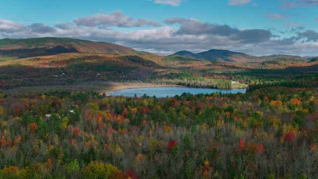 Aerial View of Maine Forest Around Little Labrador Pond in Autumn