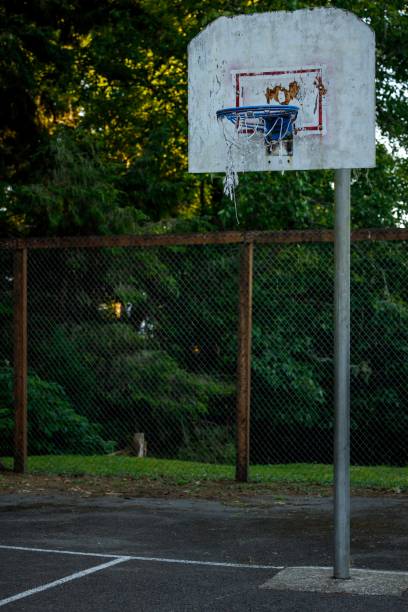 istock Basketball Hoop in the Forest 1411130380