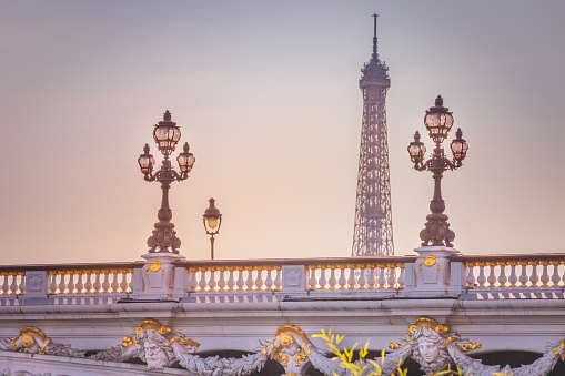 Street lights in Pont Alexandre III and Eiffel Tower at clear sky, Paris, france