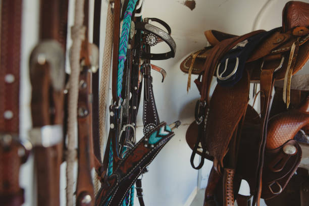 istock Girl with horse 1411137277