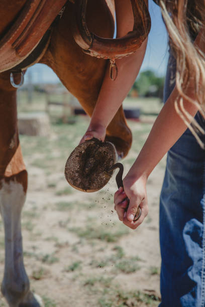 istock Girl with horse 1411137345