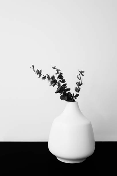 istock Round leaves in the branches arranged in a white ceramic vase. Interior object still life in monochromatic colors on the black table against white wall backdrop. 1411138967