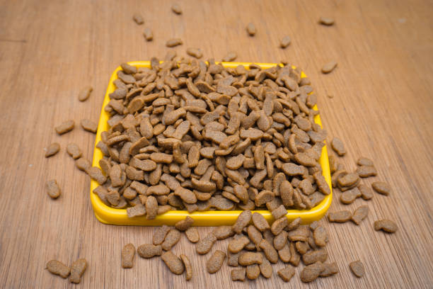 istock Healthy dry pet food 1411139660