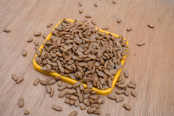 istock Dry cat food 1411139822