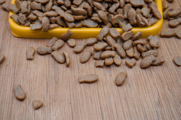 istock Healthy dry pet food 1411139925