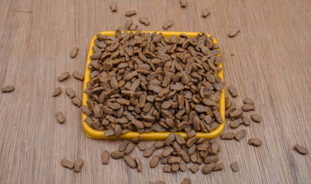 istock Dry cat food 1411140479