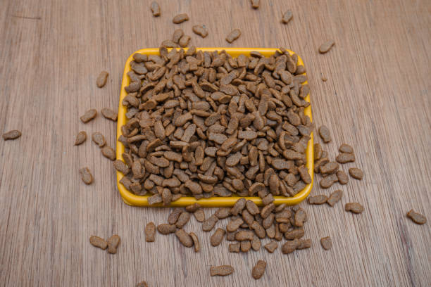 istock Healthy dry pet food 1411140483
