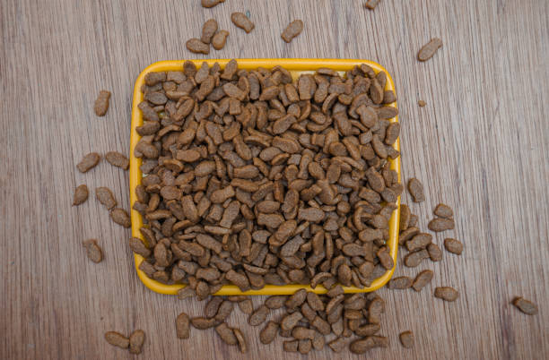 istock Dry cat food 1411140492