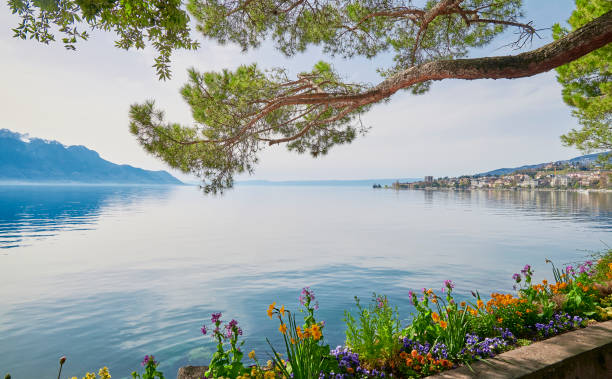 eine landschaft des genfersees an einem sonnigen tag von der seepromenade in montreux city, schweiz - seepromenade stock-fotos und bilder