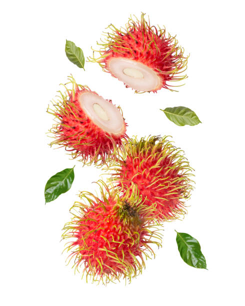 frutta rambutan sfondo bianco. - rambutan foto e immagini stock