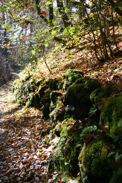 istock Ancient stone wall with moss in a mountain hiking road in Japan. 1411147227