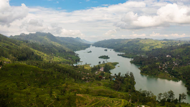 istock Lake among mountains and tea plantations. 1411152567