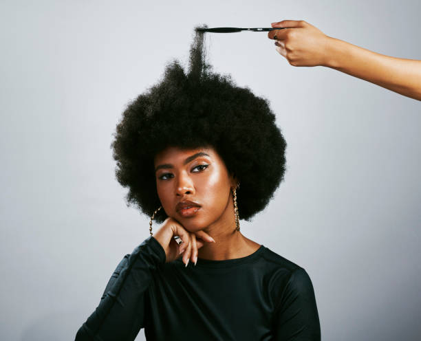 Natural hairstyle and afro model symbolising proud retro culture or melanin beauty with funky and trendy hair. Portrait of confident woman with attitude and stylist using volume pick or grooming comb Natural hairstyle and afro model symbolising proud retro culture or melanin beauty with funky and trendy hair. Portrait of confident woman with attitude and stylist using volume pick or grooming comb human hair women brushing beauty stock pictures, royalty-free photos & images