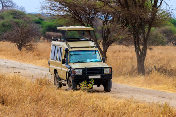 Off road car driving in Tarangire national park in Tanzania. Safari in Africa stock photo