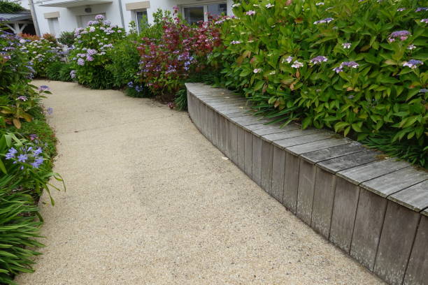 istock Landscaped garden  Pedestrian path lined with hydrangea and agapanthus   Rest bench 1411165426