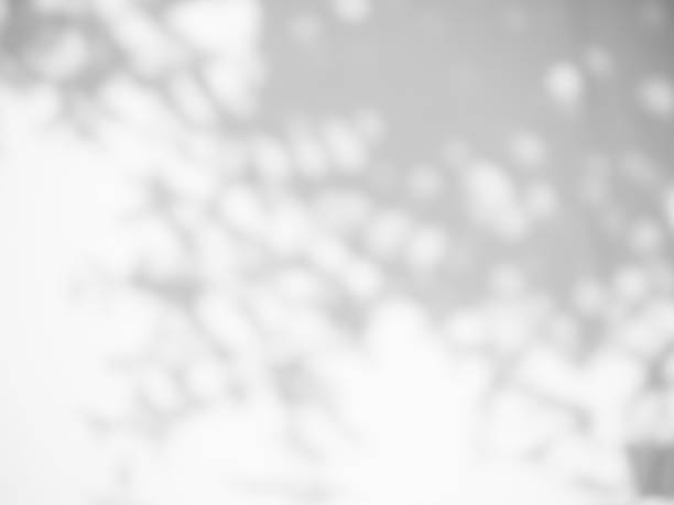 istock Blur Gray cement shadow leaves background. 1411169635