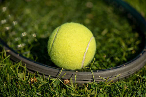 tennis ball and racket are on the grass court focus on foreground horizontal photo