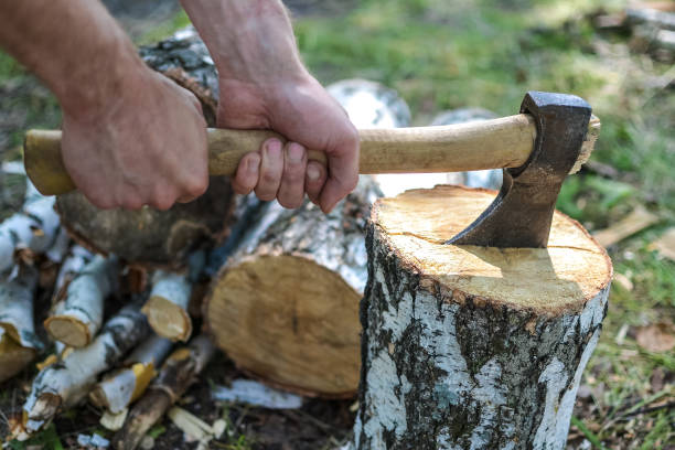 istock A man is chopping a birch log with an axe 1411171912