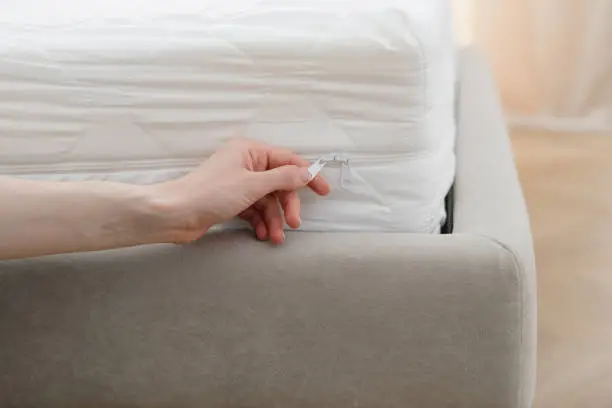 Cropped view of woman hand is holding zipper or opened fastener, changing protective cover on the mattress. Waterproof bedding on bed in bedroom. Laundry and dry cleaning concept