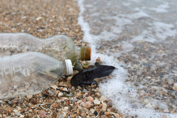 istock Plastic drink bottles washed up at beach 1411174444