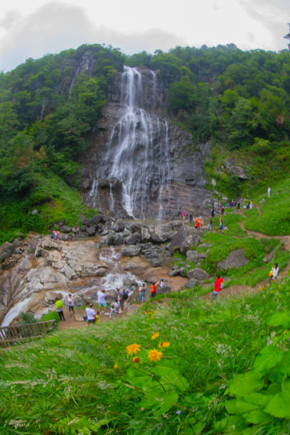 водопад менкуна. это один из самых великолепных водопадов восточного черного моря. - yalova стоковые фото и изображения