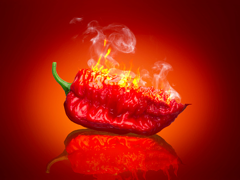 Carolina Reaper. Fresh red chilli pepper in fire as a symbol of burning feeling of spicy food and spices. Red background.