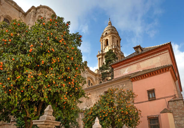 istock The Cathedral Of Malaga 1411178253