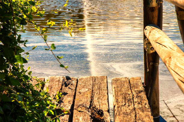 small wooden jetty next to a lake of dirty and polluted water