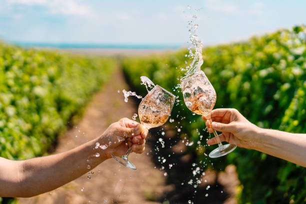 istock Men Rising Glasses In Vineyard 1411182079
