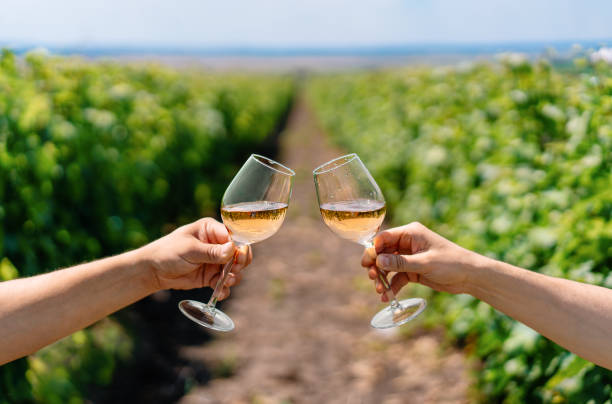 istock Men Raising Glasses In Vineyard 1411182087