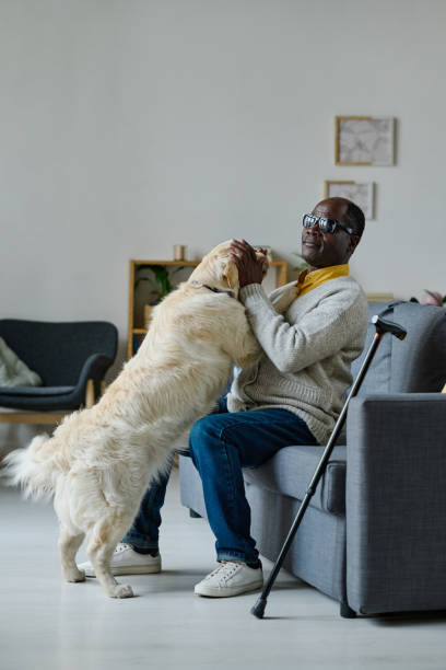 istock Blind man with guide dog sitting at home 1411182591