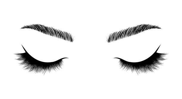 realistische wimpern auf weißem hintergrund. frau mit geschlossenen augen und brauen ikone. laminierung und verlängerung der wimpern. logo des schönheitsstudios. lineare vektorillustration im trendigen minimalistischen stil - eyeliner single line human eye sketching stock-grafiken, -clipart, -cartoons und -symbole