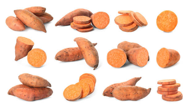 set with fresh sweet potatoes on white background - sweet potato imagens e fotografias de stock