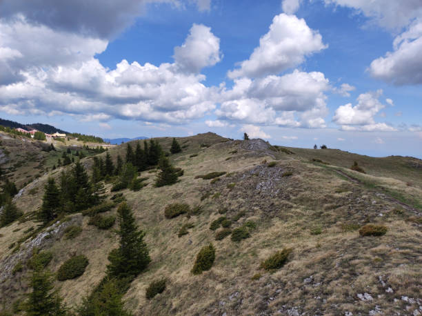 istock spring on the mountain Kopaonik in Serbia 1411187057