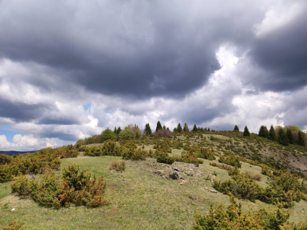 istock spring on the mountain Kopaonik in Serbia 1411188090