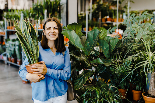 Planting and shopping. Young woman chooses indoor plants and pots in store or garden center. The lady holds big Sansevieria in her hands, looks into the camera.