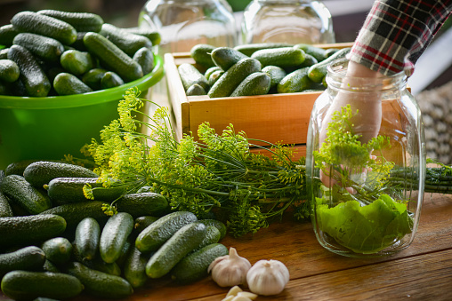 young woman makes homemade cucumber preparations