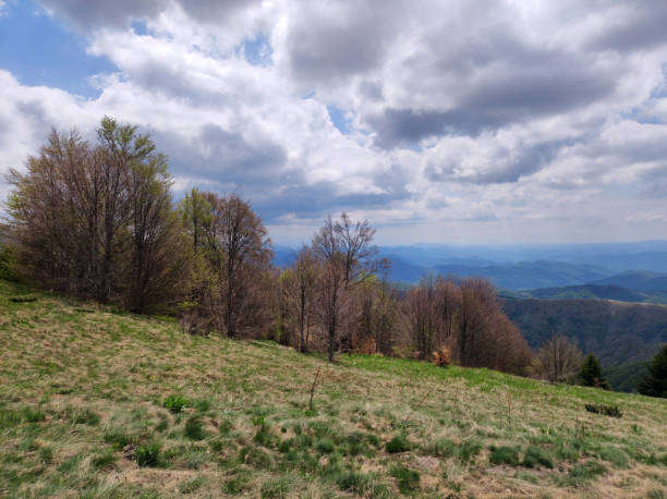 istock spring on the mountain Kopaonik in Serbia 1411189932