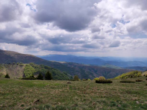 istock spring on the mountain Kopaonik in Serbia 1411189981