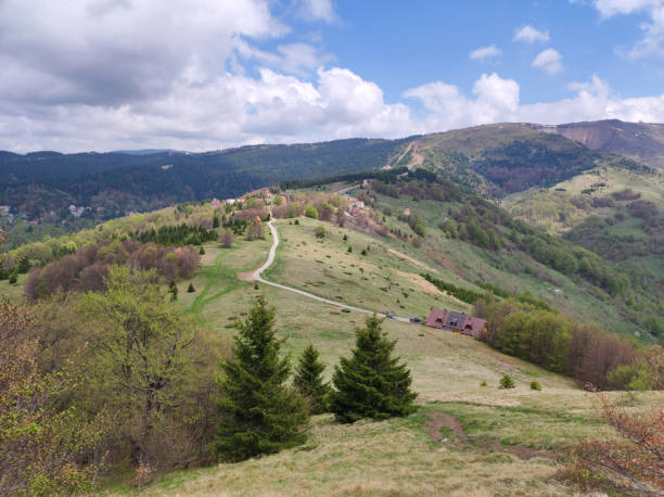 istock spring on the mountain Kopaonik in Serbia 1411189983