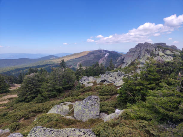 istock spring on the mountain Kopaonik in Serbia 1411191194