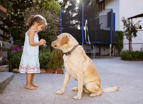 Beautiful small girl is outside with her dog.