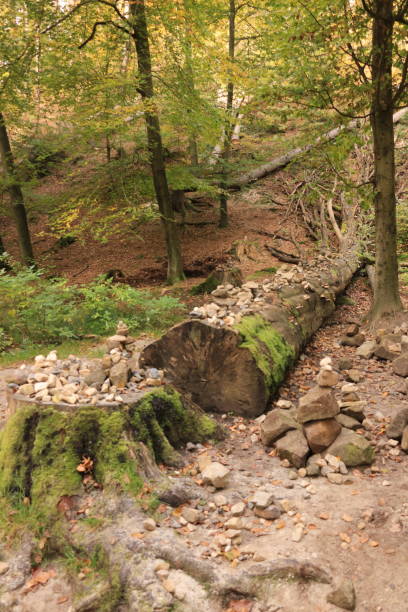 istock Autumn in Saxon Switzerland 1411192466