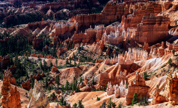 istock Sunrise at Bryce Canyon 1411195176