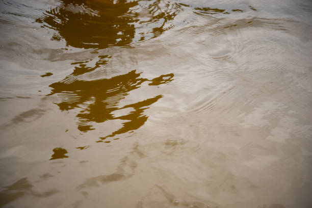 istock Water surface with brightness in the distance 1411196727