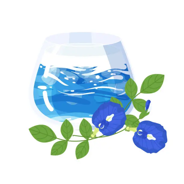 Vector illustration of Butterfly pea or blue pea tea latte with ice isolated on white background. Flat vector drink illustration