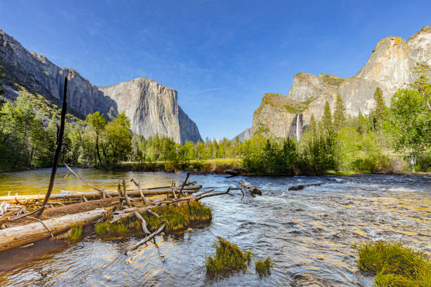 istock merced river with famous rock el Captain in Yosemite valley 1411201081