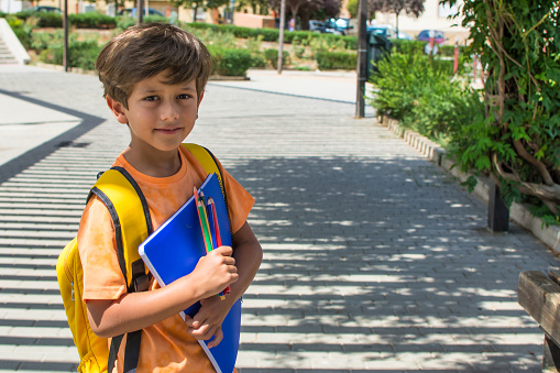 Toddler ready for first day of school. School boy looking at camera. Image with space to copy